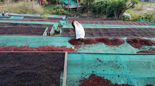 COSTA RICA LA MONTAÑA