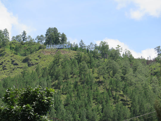 SUMATRA KOPEPI KETIARA
