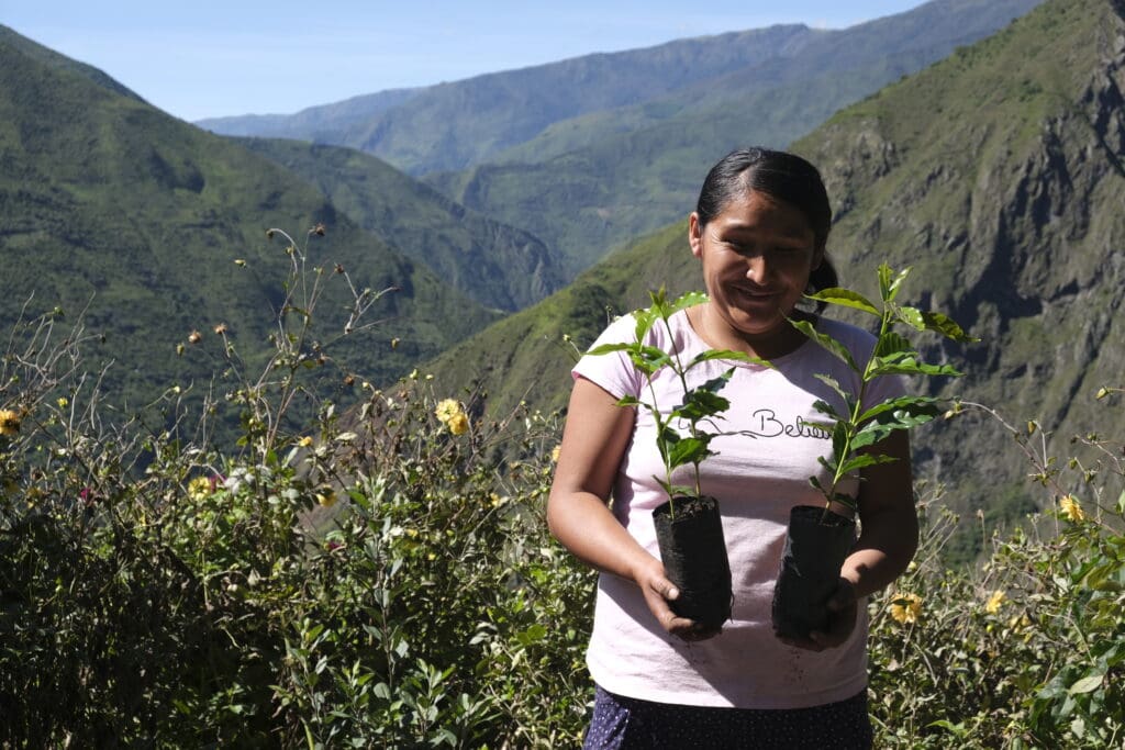 PERU MENDOSAYOC