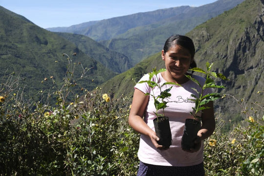 PERU MENDOSAYOC