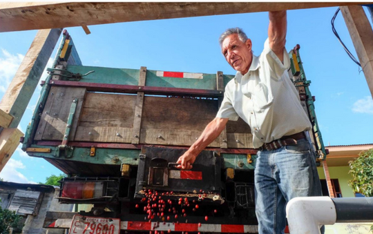 COSTA RICA LA MONTAÑA