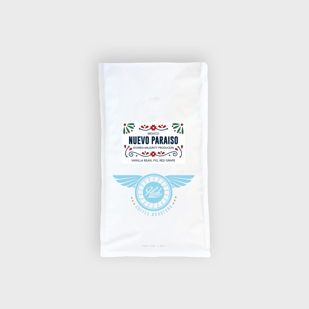 MEXICO NUEVO PARAISO