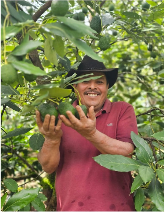 Guatemala Pascual