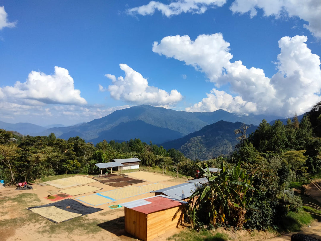 MEXICO NUEVO PARAISO