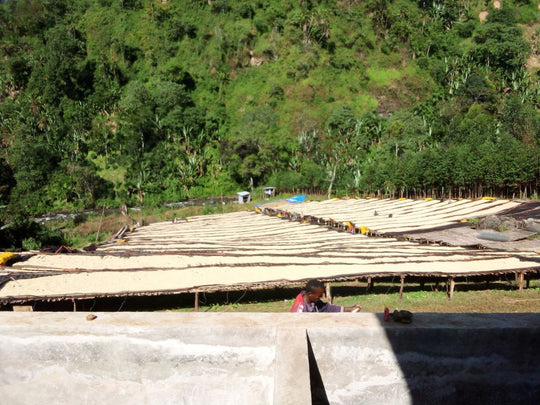 ETHIOPIA WACHU | SPECIAL RELEASE