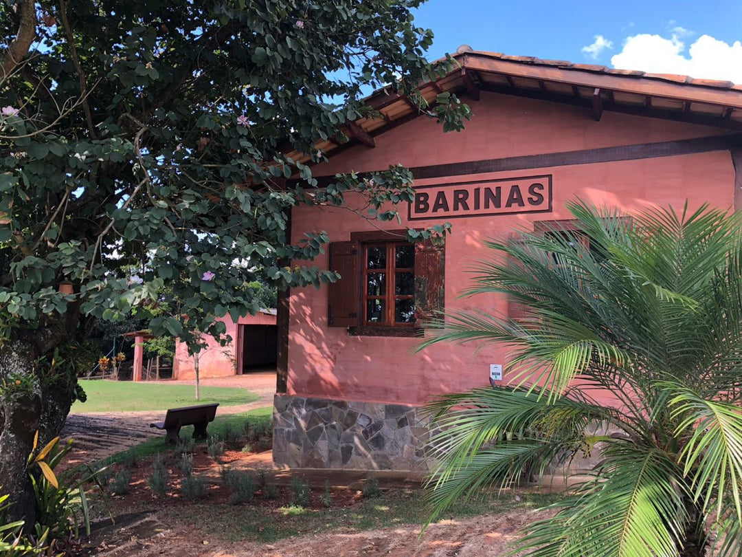 BRAZIL BARINAS
