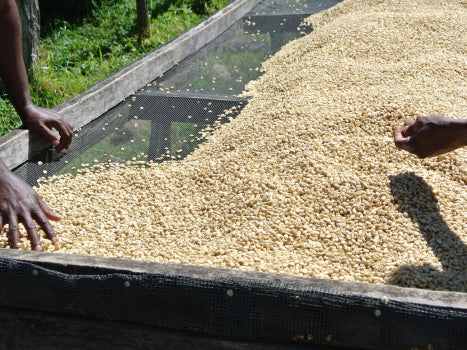 TANZANIA MANDOMASHE